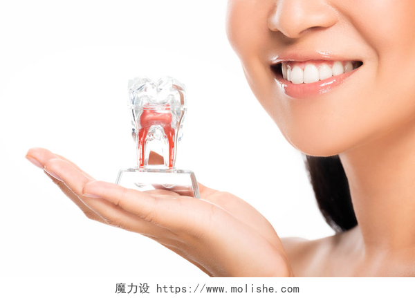 微笑着的女孩部分视图的快乐女人拿着牙齿模型孤立在白色